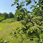 Small Lejlighed Freundorf