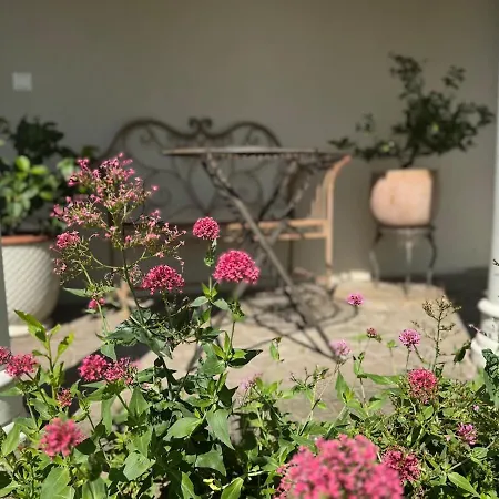 Apartment Small